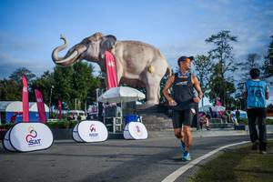 BIB: 
                            <button type="button" onclick="openModal(26542029)" class="btn btn-primary btn-sm float-right btn-popup" data-toggle="modal" data-target=".modal-high-quality">
                        <i class="fas fa-shopping-cart"></i> Add to Cart
                    </button>
                                            <button type="button" onclick="isThisMe(26542029, true)" class="btn btn-success btn-sm float-right btn-popup btn-isme hidden" data-toggle="tooltip" data-placement="bottom" title="นี่คือรูปของคุณใช่ไหม คลิกที่นี่เพื่อเอาเข้าอัลบั้ม">
                        <i class="fas fa-plus"></i> Add to album
                    </button>
                    <button type="button" onclick="isThisMe(26542029, false)" class="btn btn-warning btn-sm float-right btn-popup btn-isnotme hidden">
                        <i class="fas fa-ban"></i> Remove from album
                    </button>